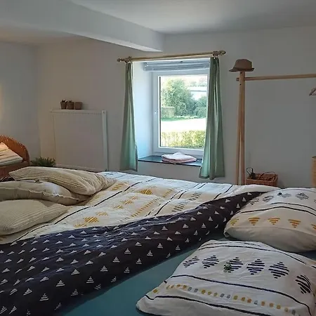 Cozy Near