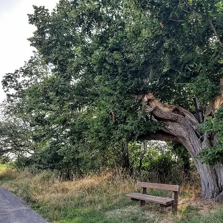 Cozy Near *